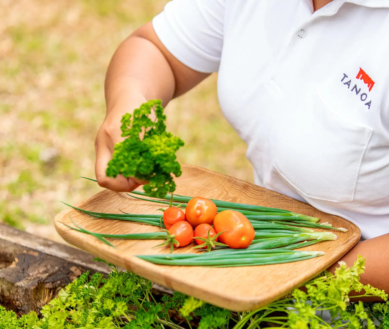 From Garden to Table